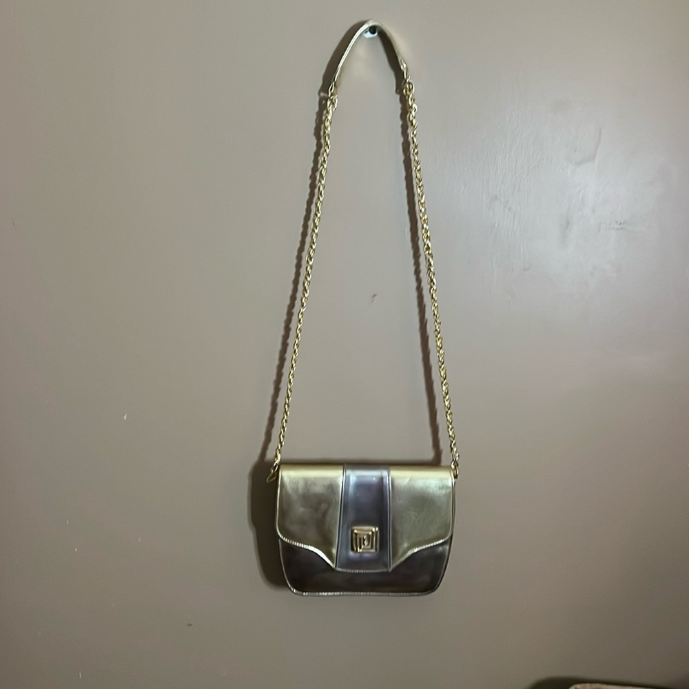😄Vintage patten leather? Gold and silver purse